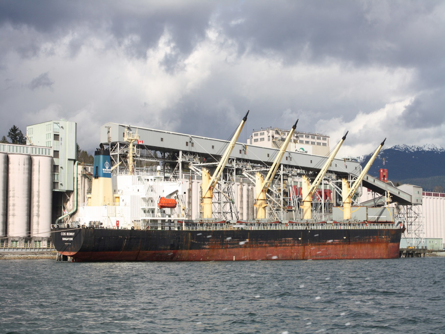 What is a bulk carrier: Slide 6 of 23