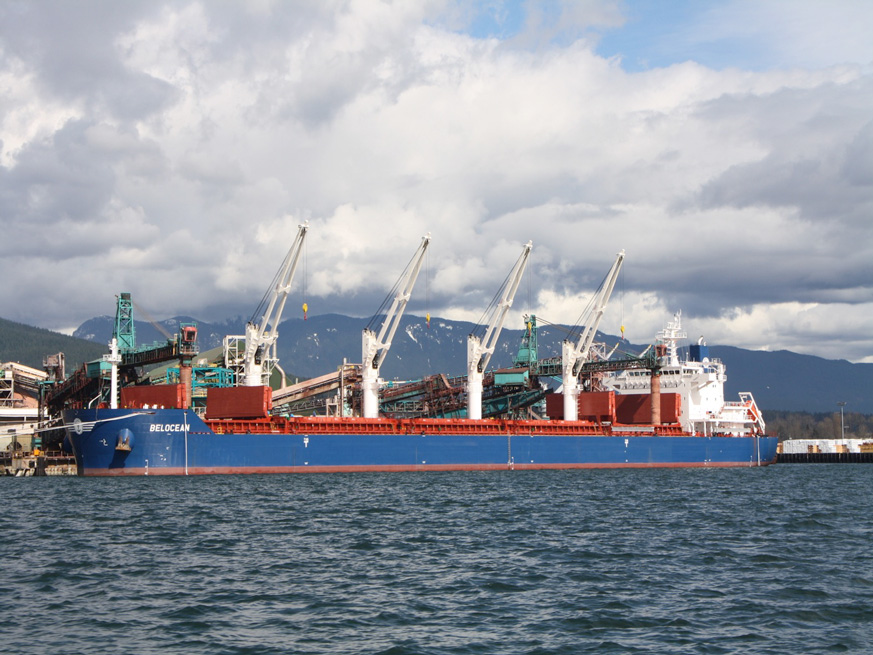 What is a bulk carrier: Slide 15 of 23